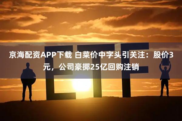 京海配资APP下载 白菜价中字头引关注：股价3元，公司豪掷25亿回购注销