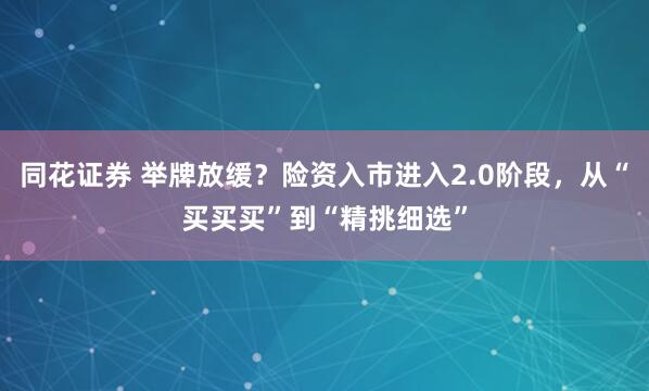 同花证券 举牌放缓？险资入市进入2.0阶段，从“买买买”到“精挑细选”